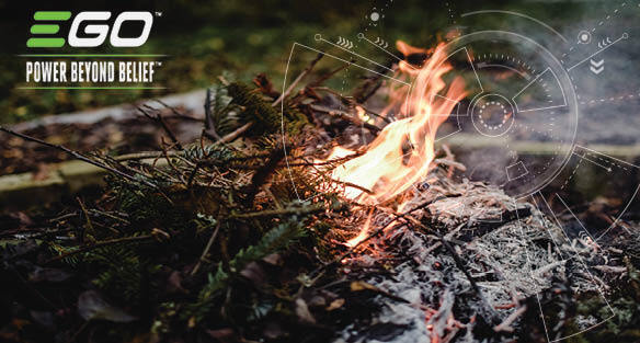 The various uses of wood ash in the garden